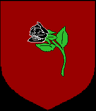 Wilted Rose