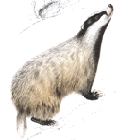 Melandro