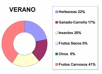 verano