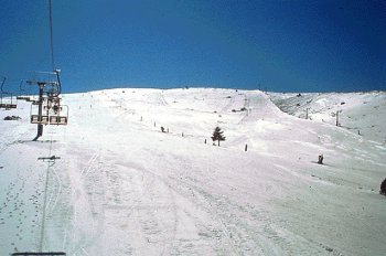 avalambre1.jpg - 18 kb