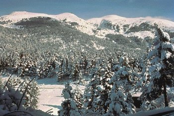 lamolina1.jpg - 35 kb