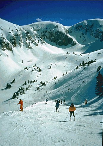 masella1.jpg - 51 kb