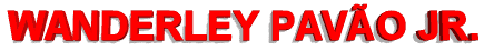 pavao_logo.gif (4820 bytes)