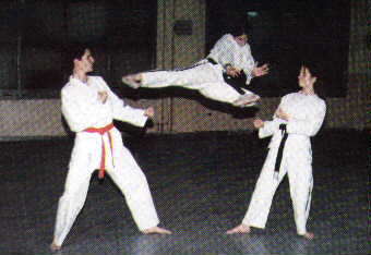 tae kwon do