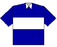 Camiseta suplente