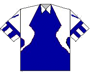 Camiseta nueva