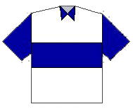 Camiseta nueva