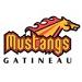 Site Officiel