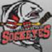 Official Website