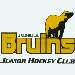 Official Website
