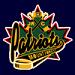 Official Website