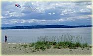 alki_seat2.jpg - 6589 Bytes