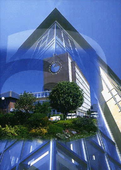 campus.gif - 130388 Bytes