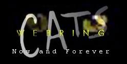 catseyes.jpg - 12832 Bytes