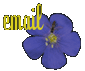 flower13.gif - 2282 Bytes