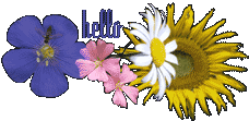 flower2.gif - 9317 Bytes