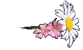 flower26.gif - 2059 Bytes