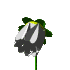 flowerwhiteclr.gif - 5135 Bytes