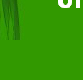 THE GRASS RITUAL
