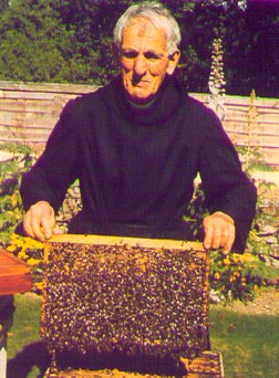 plybuck3.jpg - 32452 Bytes