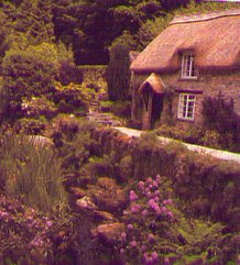 plybuckvill.jpg - 20534 Bytes