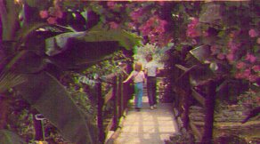 plybutterfly.jpg - 15415 Bytes