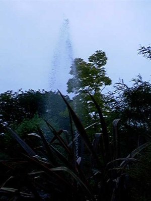 plyedgenzgard.jpg - 23230 Bytes