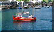 plylooeboat2.jpg - 4273 Bytes