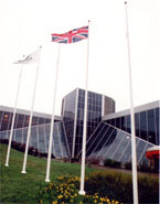 plypav1.jpg - 12701 Bytes
