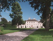 plysaltram.jpg - 23548 Bytes