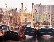 plysutton2.jpg - 20039 Bytes