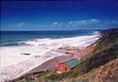 plywhitsand.jpg - 6097 Bytes