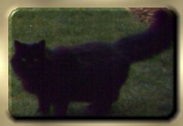 tati.jpg - 11898 Bytes