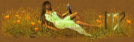 virgobar.jpg - 23285 Bytes