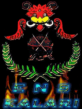 E.N.S Kalari logo