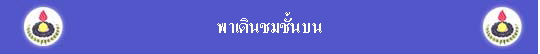 Թ鹺