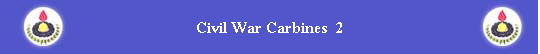 Civil War Carbines  2