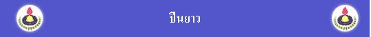 ׹