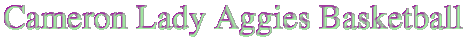 Cameron Lady Aggies Feedback Page