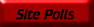 View previous polls conducted on this site.