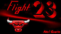 Flight 23