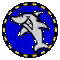 web_shark.gif (3312 bytes)