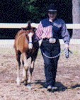 BGR's Racin & Dancin Rodeo