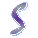 Family Name - S