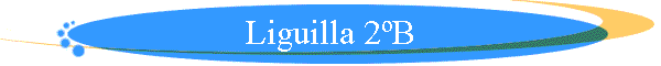 Liguilla 2B