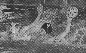 Marc Volke (Nr.4)