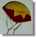 Club Cap - Maroon, with a six pointed Gold Star on top
