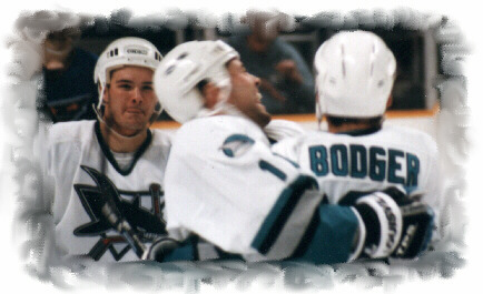 Sharks celebrating