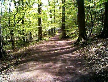 trail north and west on green lake