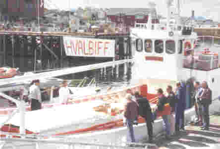 Stop the Bloody Whaling